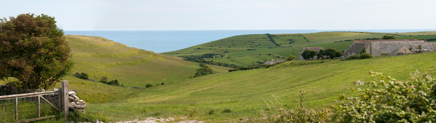 View from the Cottage